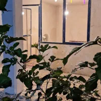 اقامتگاه وکافه رستوران سپیدار