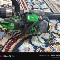 لنسر ماهیگیری «اصل کره»