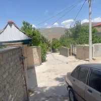 فروش فوری زمین باغ ۱۱۲۰ متری در طالقان صمغآباد
