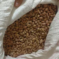 الوک کوهی تمیز