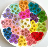 راهنمایی میکنم در ضمیمه رزین