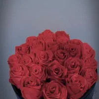 تخفیف گل روبانی|گل مصنوعی|ارومیه, |دیوار