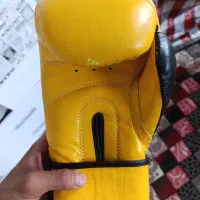 دستکش اورلست چرم|تجهیزات ورزشی|زاهدان, |دیوار