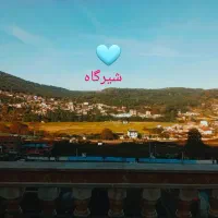 طبیعت خیره کننده جنگلهای هیرکانی وحساسیت در نظافت