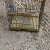 قفس پرنده|لوازم جانبی حیوانات|ری, حمزهآباد|دیوار