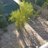 باغ ویلا هزار متری با تمام امکانات|فروش خانه و ویلا|آبسرد, |دیوار