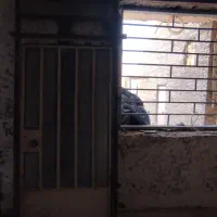 درب ، نرده و پنجره آهنی|مصالح و تجهیزات ساختمان|اهواز, کوی طلاب|دیوار