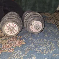 دمبل