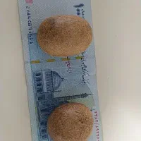 سنگ آسیاب|کلکسیون اشیاء عتیقه|سمنان, |دیوار