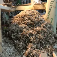 پوشال نجاری، خاک اره،نرمه چوب،چوب هیزمی،خرده چوب