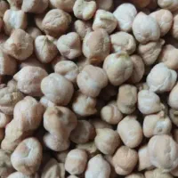 نخود. گاو دانه.سویا.تفاله چغندر خشک