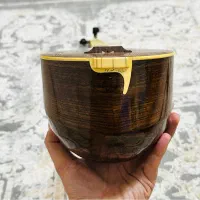 سه تار حرفه ای سامان کشاورز            (استودیویی)|سازهای سنتی|اصفهان, شاهزید|دیوار