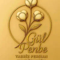 طراحی حرفه ای لوگو|خدمات رایانهای و موبایل|تبریز, |دیوار