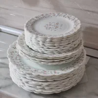 ارکوپال خارجی مارک سیلور گلس