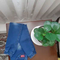 شلوار جین بچه گانه|کفش و لباس بچه|تهران, خواجه نظام الملک|دیوار