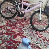 دوچرخه ۲۰ درهد نوه