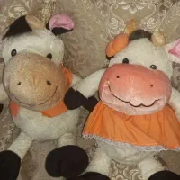 عروسک پولیشی