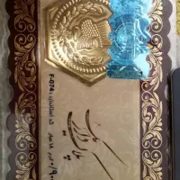سکه ۹۰۰ سوت پارسیان پلاک دارلیک