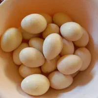 سلام تخم مرغ محلی سالم