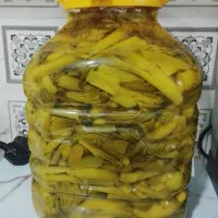 ترشی بیلهر