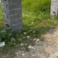 فروش زمین350 متری باغی باسندمادر درسفید تمشک