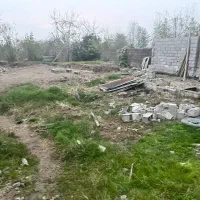 زمین مسکونی ۳۰۰ متری( زیباکنار/ولی اباد)/شخصی|فروش زمین و ملک کلنگی|رشت, بازار|دیوار