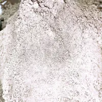 قوتو چهل گیاه خانگی|خوردنی و آشامیدنی|سیرجان, |دیوار