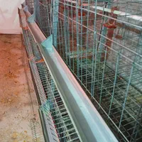 فروش قفس ایستاده مرغتخمذار|لوازم جانبی حیوانات|فراغی, |دیوار