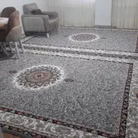 فرش ۹ متری در حد نو|فرش|اشتهارد, |دیوار