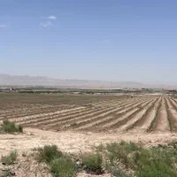 راننده ماهر تراکتور - آبگیر زراعت برای مزرعه