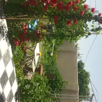 فروش خانه ویلایی استخردار|فروش خانه و ویلا|شیروان (خراسان), |دیوار