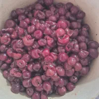 البالو تازه، شسته شده هسته گیری شده