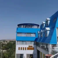 زوج جوان بدون فرزند