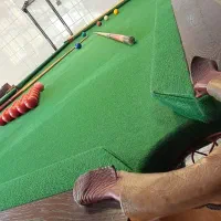 میز بیلیارد ایت اسنوکر|تجهیزات ورزشی|شاهرود, |دیوار