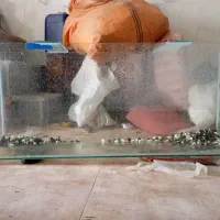 معاوضه|کنسول، بازی ویدئویی و آنلاین|زرند, |دیوار