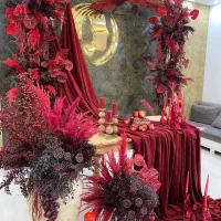 اجرای دکورهای یلدایی|خدمات پذیرایی، مراسم|شیراز, قدوسی غربی|دیوار