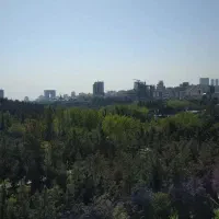 تهاتر330متر-زمین-محصور-جاده-زیباکنار-رشت