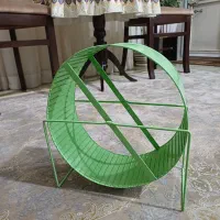 چرخ و فلک همستر و خوکچه هندی