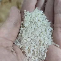 فروش برنج فجرسوزنی شمال با عطر و طعم عالی|خوردنی و آشامیدنی|شاهرود, |دیوار