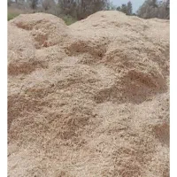 کاه گندم فروشی