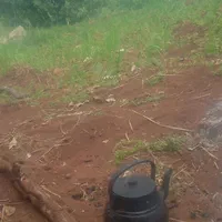سرکارگر هستم