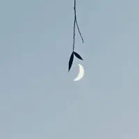 ثبت کارنامه توصیفی ابتدایی