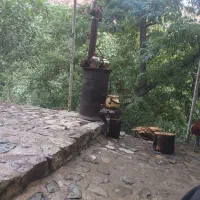 همخونه-خانم