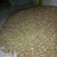 بلوط|عمده‌فروشی|کنار تخته و کمار, |دیوار