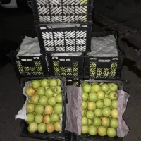 سبدمیوه