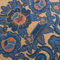 انبر دست پیدا شده