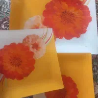 ظروف پذیرایی