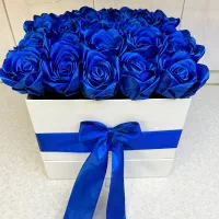 گل روبانی تبریز