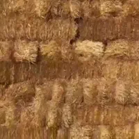 پرس گندم درجه یک