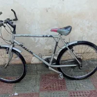 دوچرخه آساک دماوند26